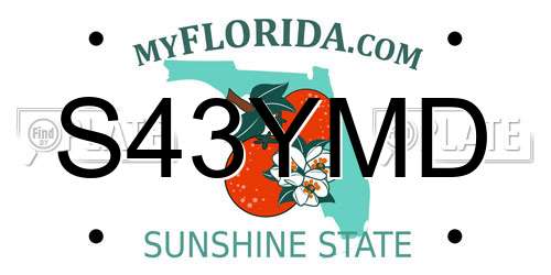 S43YMD Florida License Plate