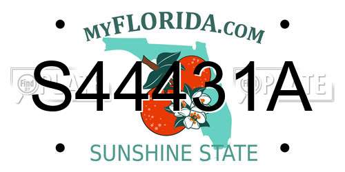 S44431A Florida License Plate