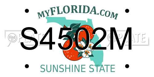 S4502M Florida License Plate