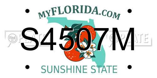 S4507M Florida License Plate