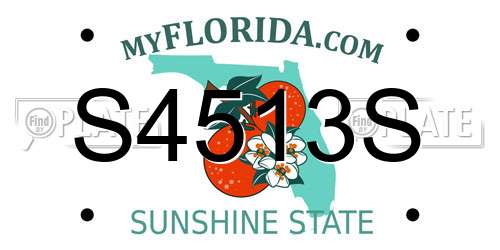 S4513S Florida License Plate