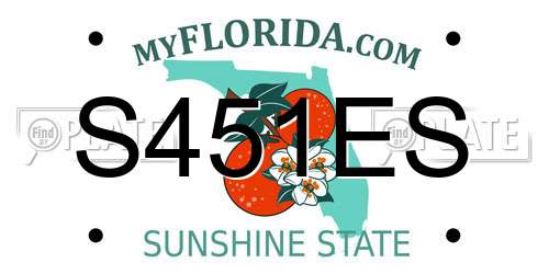 S451ES Florida License Plate