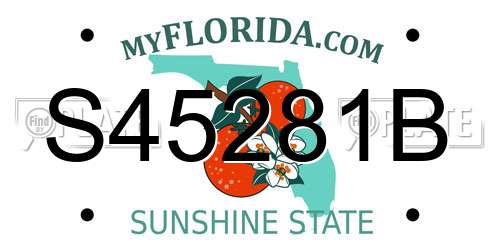 S45281B Florida License Plate