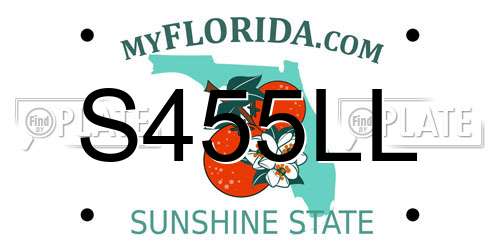S455LL Florida License Plate
