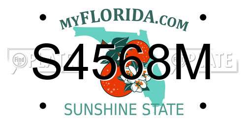 S4568M Florida License Plate