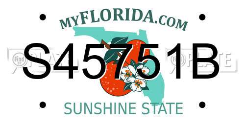 S45751B Florida License Plate
