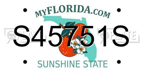 S45751S Florida License Plate