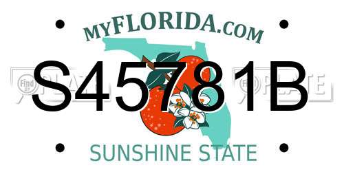 S45781B Florida License Plate