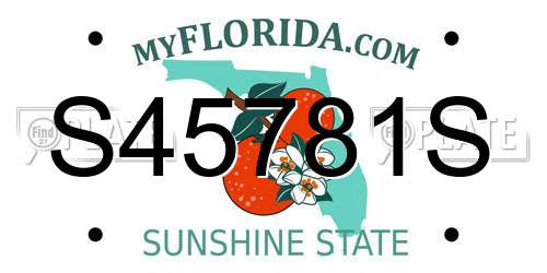 S45781S Florida License Plate