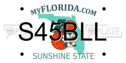 S45BLL Florida License Plate