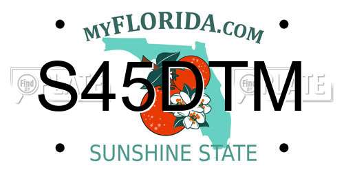 S45DTM Florida License Plate