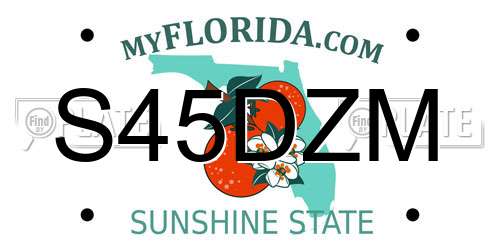 S45DZM Florida License Plate