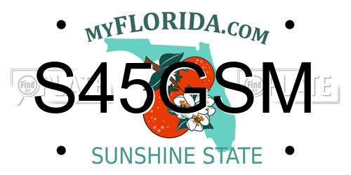 S45GSM Florida License Plate