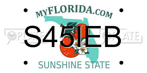 S45IEB Florida License Plate