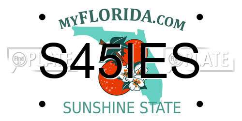 S45IES Florida License Plate