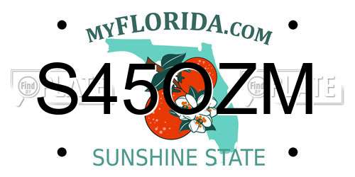 S45OZM Florida License Plate