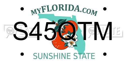 S45QTM Florida License Plate