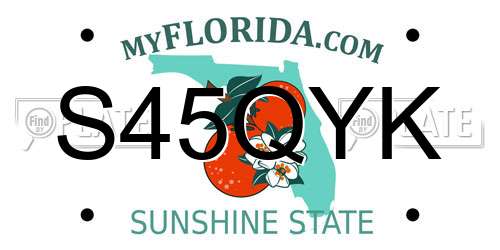 S45QYK Florida License Plate