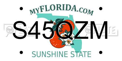 S45QZM Florida License Plate