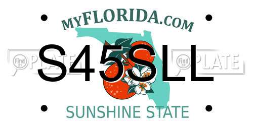 S45SLL Florida License Plate