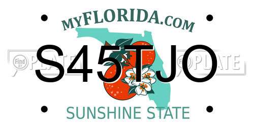 S45TJO Florida License Plate