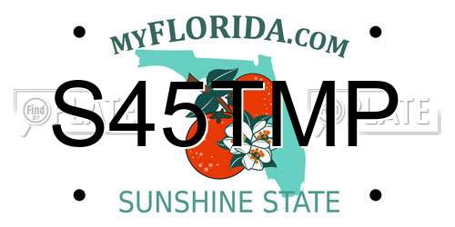 S45TMP Florida License Plate