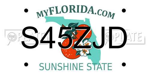 S45ZJD Florida License Plate