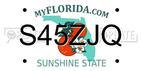 S45ZJQ Florida License Plate