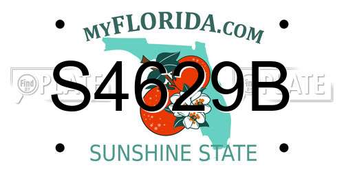 S4629B Florida License Plate