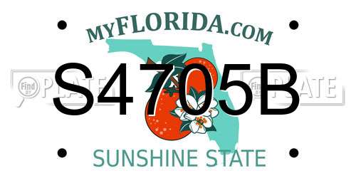 S4705B Florida License Plate