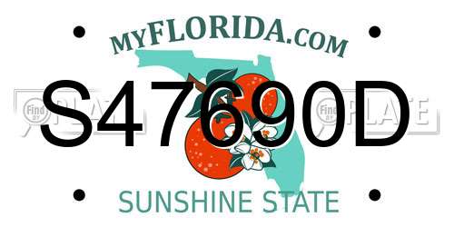 S47690D Florida License Plate