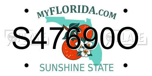 S47690O Florida License Plate