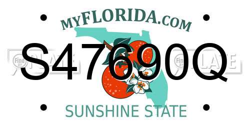 S47690Q Florida License Plate