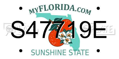 S47719E Florida License Plate