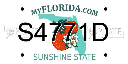 S4771D Florida License Plate