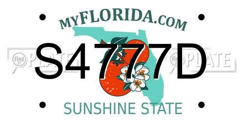 S4777D Florida License Plate