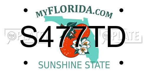 S477TD Florida License Plate