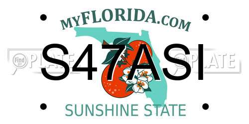 S47ASI Florida License Plate