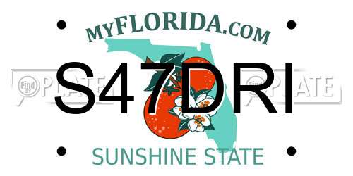 S47DRI Florida License Plate
