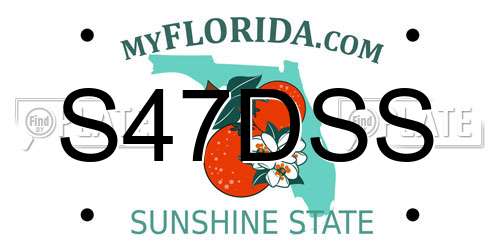 S47DSS Florida License Plate