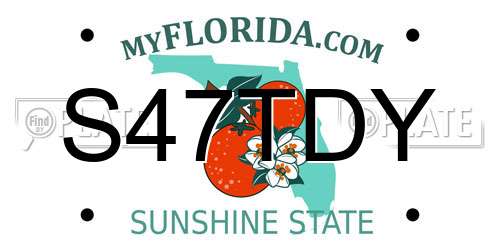 S47TDY Florida License Plate