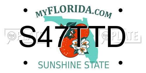 S47TTD Florida License Plate