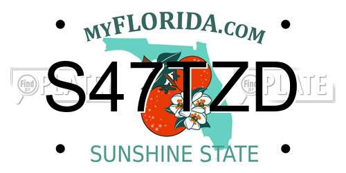 S47TZD Florida License Plate