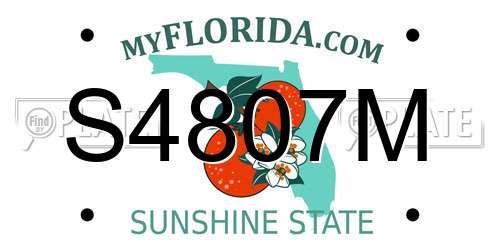 S4807M Florida License Plate