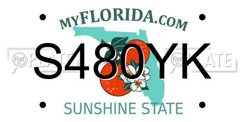 S480YK Florida License Plate