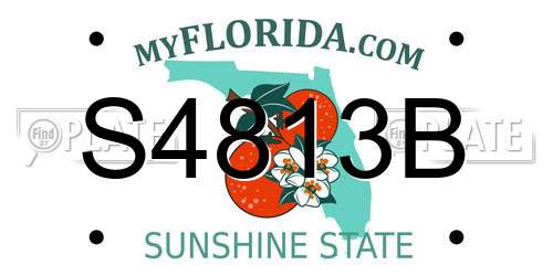 S4813B Florida License Plate
