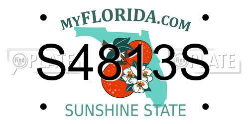 S4813S Florida License Plate