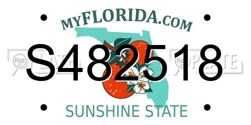 S482518 Florida License Plate