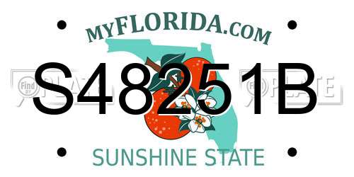 S48251B Florida License Plate