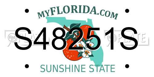 S48251S Florida License Plate